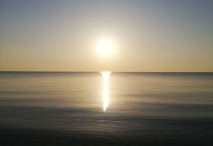 Photo Ferienwohnungen Wiesenblick 4