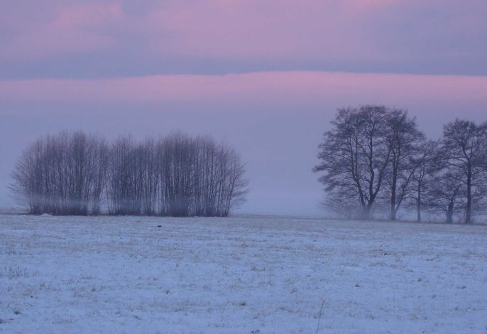 Photo Ferienwohnungen Wiesenblick 7