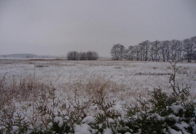 Photo Ferienwohnungen Wiesenblick 10
