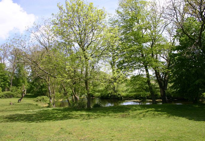 Bild 10