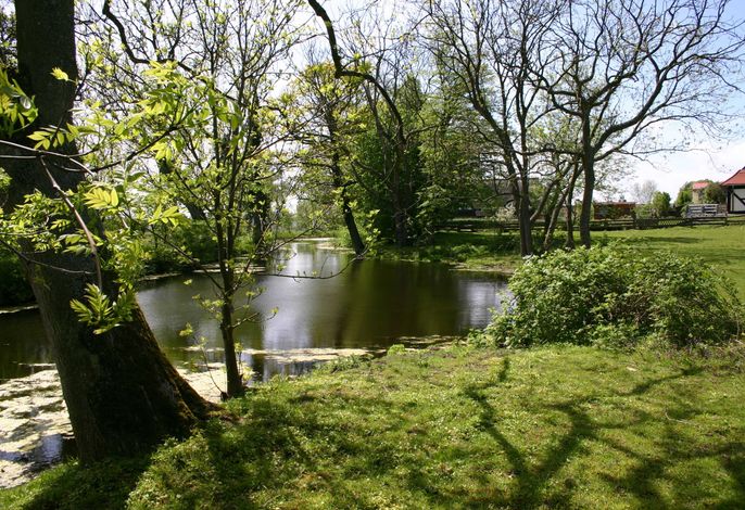 Bild 11