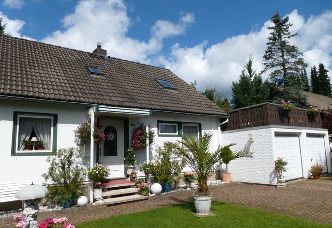 Bild 7