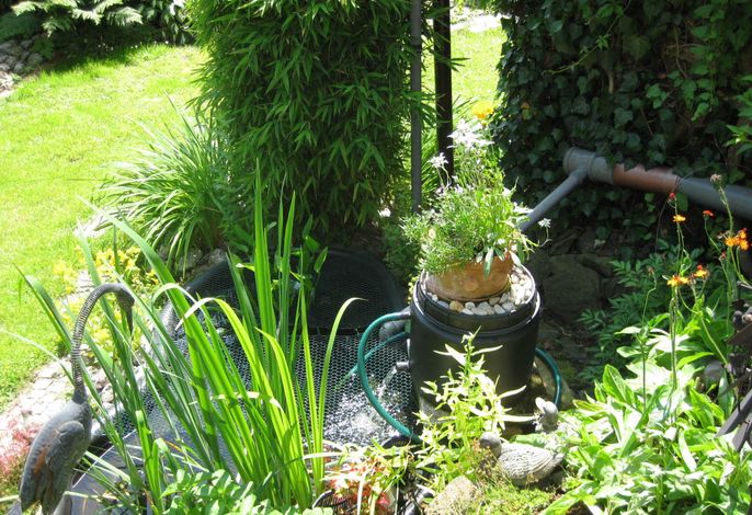 Bild 9