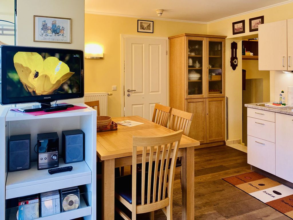 Villa Theresa, TV