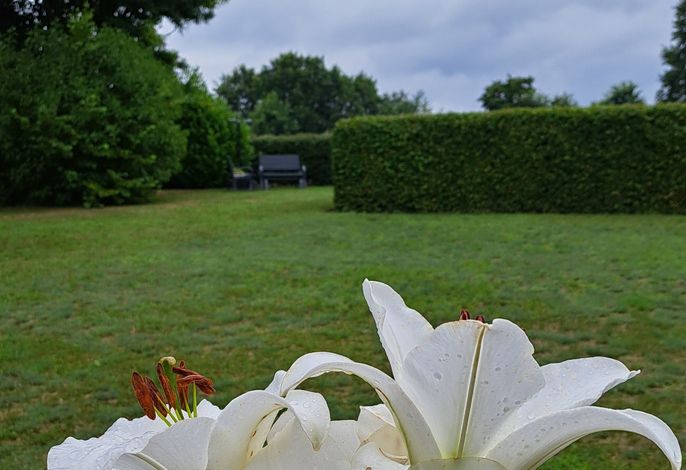 Bild 14