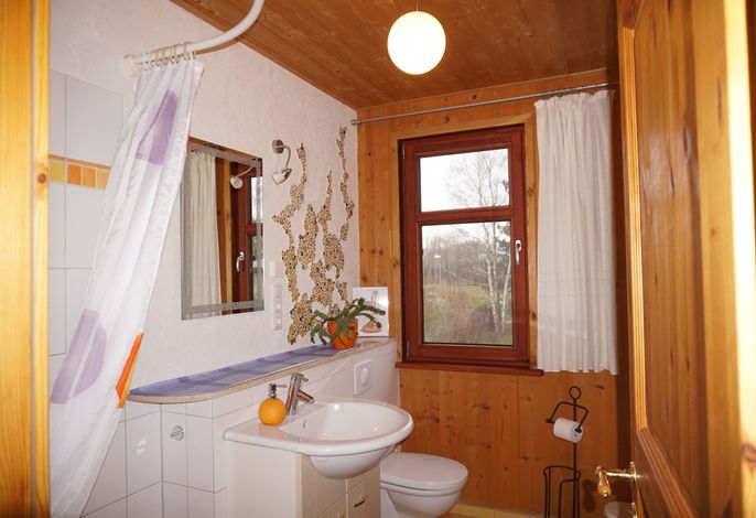 Bild 41