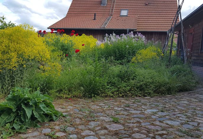 Bild 49