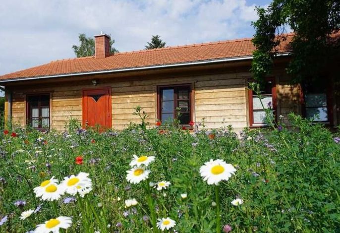 Bild 44
