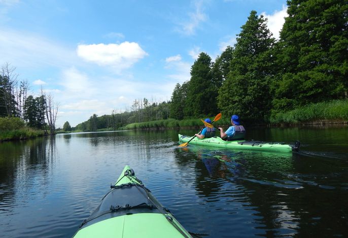 Kanutour auf der Peene