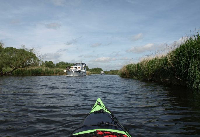Kanutour auf der Peene