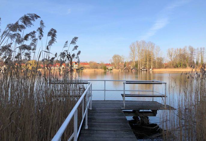 Aussendarstellung Steg