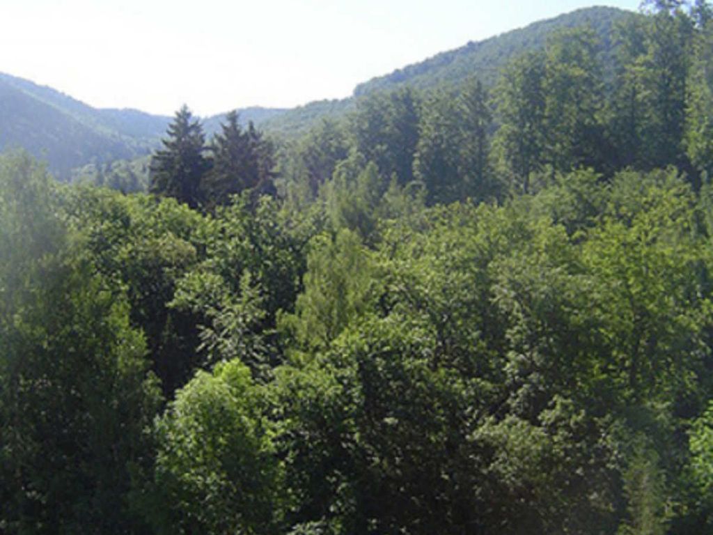 Ausblick
