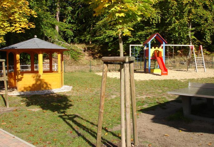 Bild 12