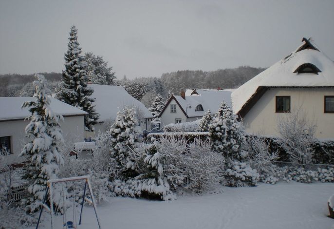 Bild 29