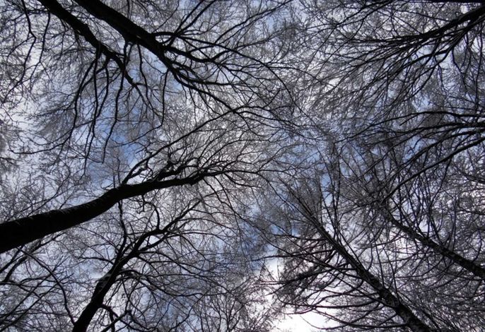 Bild 22