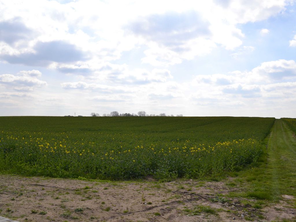 Ausblick