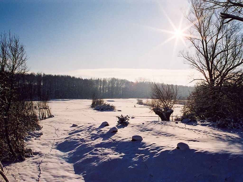 Umgebung Winter