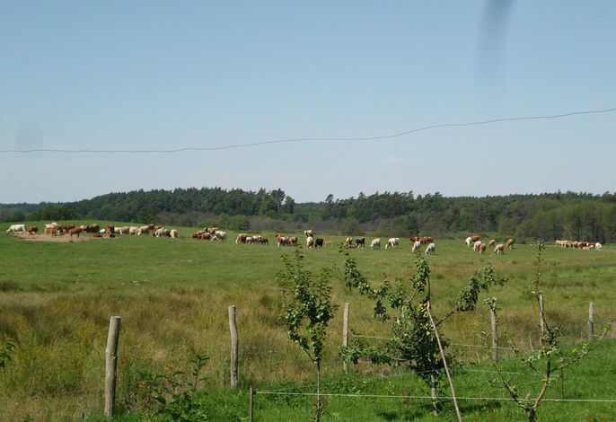 Umgebung