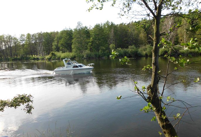 Die Peene