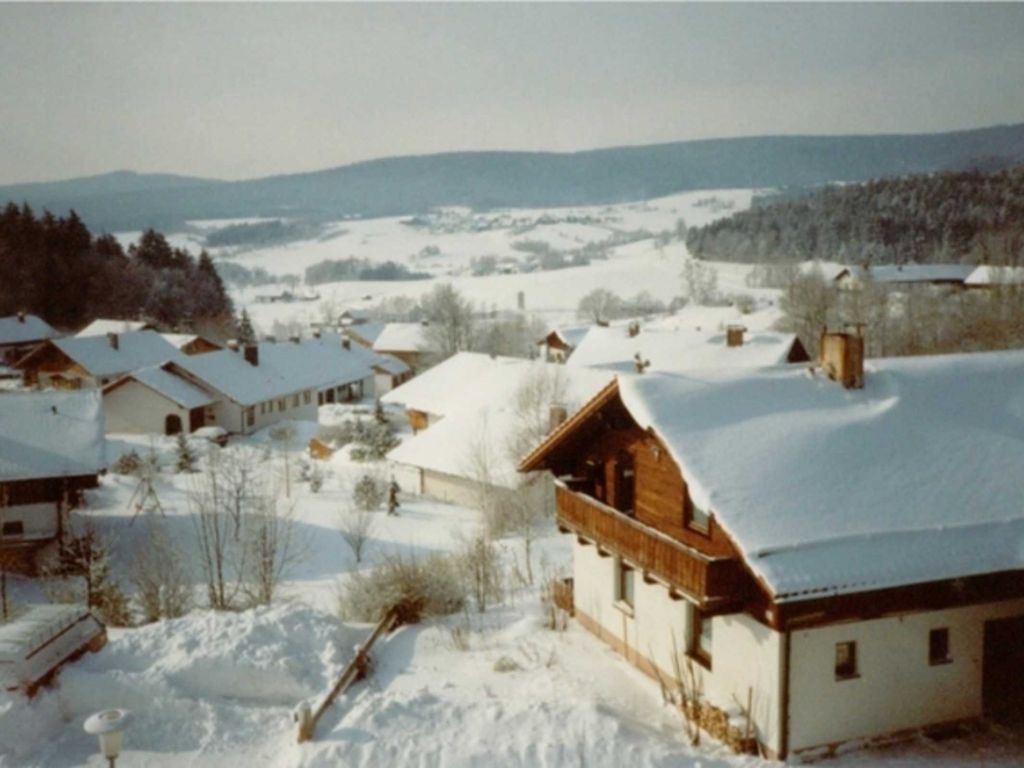 Fewo mit malerischem Bergblick im Bayerischen Wald