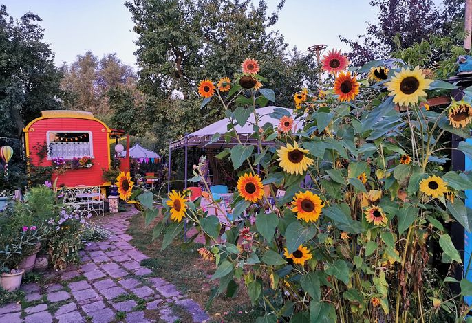 Garten
