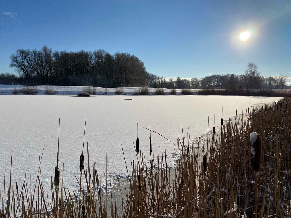 Golfplatz im Winter