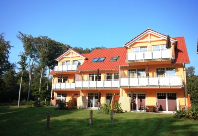 Seemöwe 403