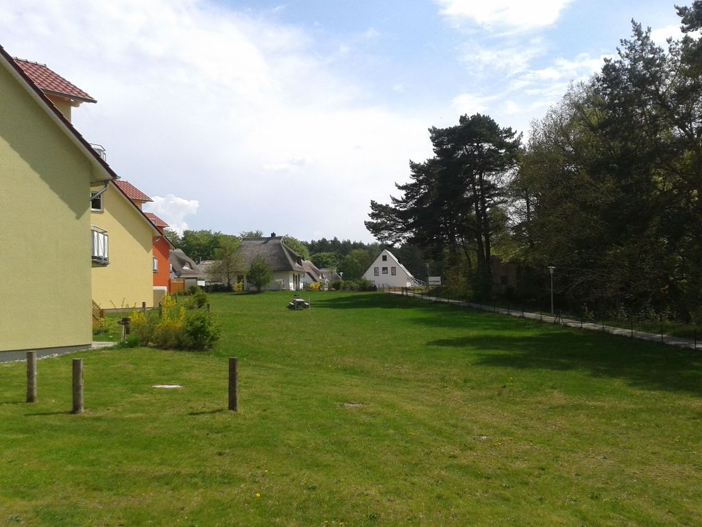 Südseite Wiese