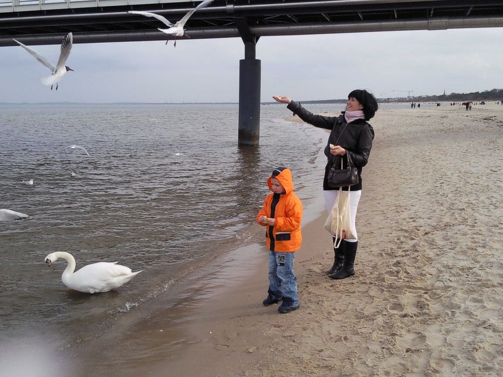Möwen füttern  auf Usedom