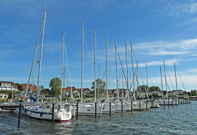 Bild 13