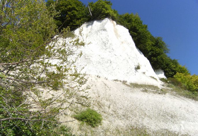 Bild 14