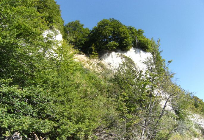 Bild 13