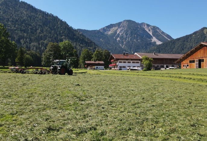 Bild 16