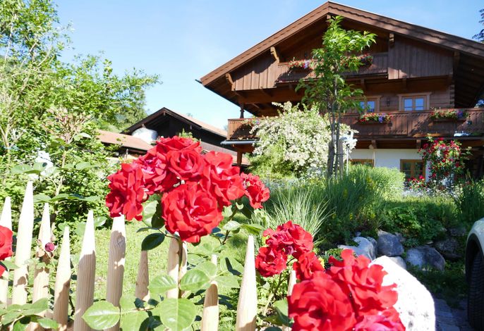 Ferienwohnung im Souterrain online