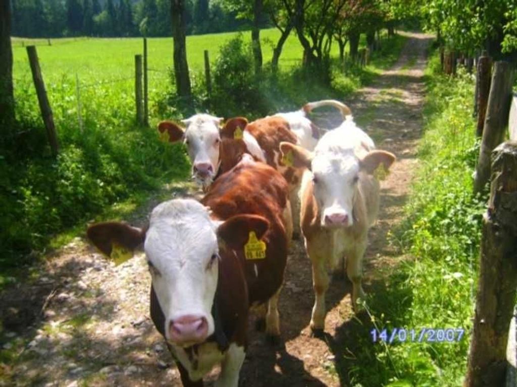 Umgebung