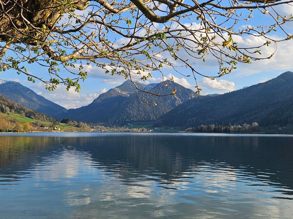 Ferienwohnungen am See - Hinterseer