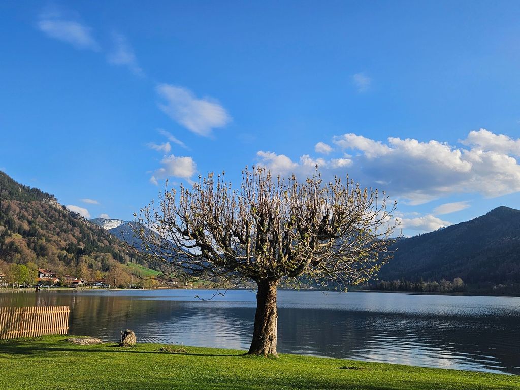 Seetraum mit Bergblick