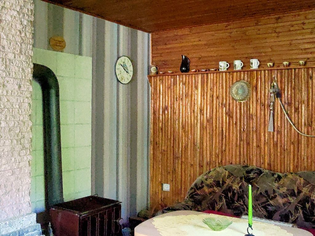 Wohnzimmer mit Kamin und Ofen