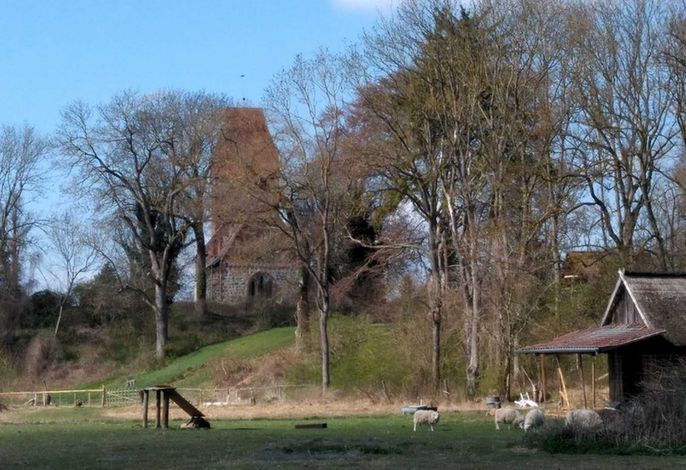 Bild 9