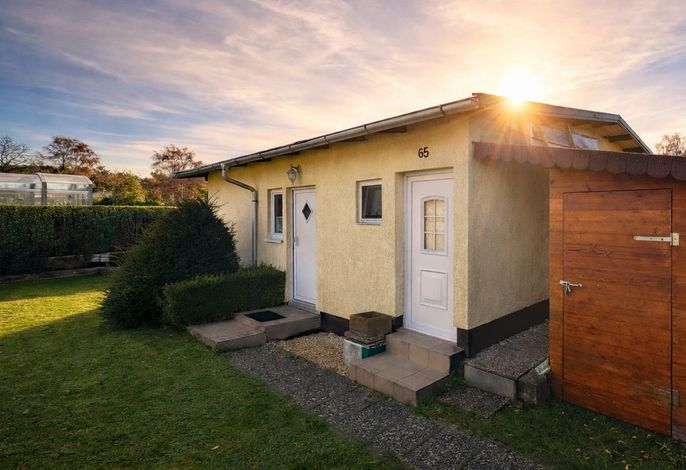 *Ostseeperle Grüne Wiese (SNR: 6) (Casa Petra GM 69654)