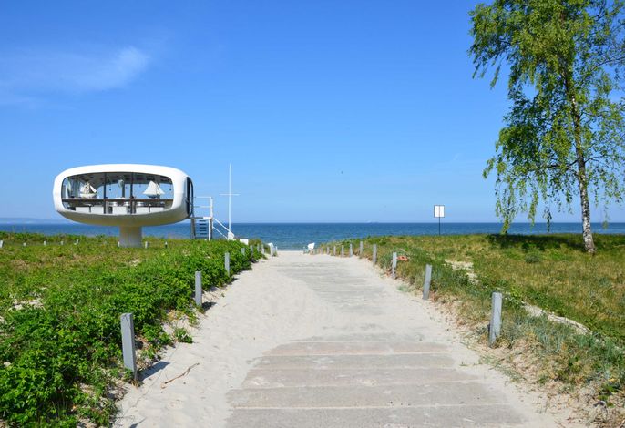 Bild 41