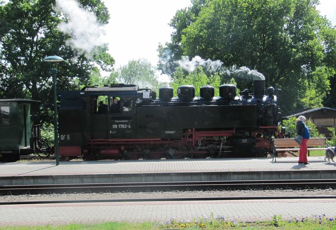 Bild 42