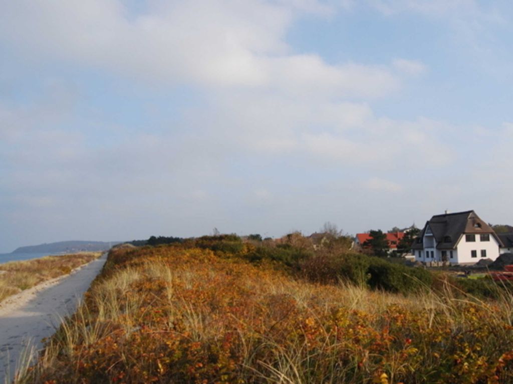 Düne