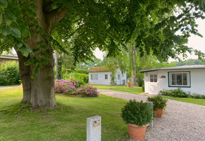 Bungalow 2, 3-Raum, 55 m², Terrasse