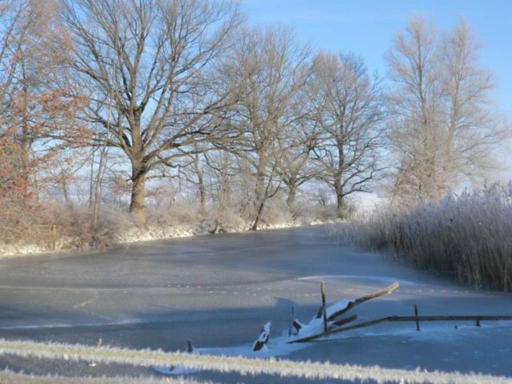 Hofteich im Winter zum Schlittschuhlaufen.