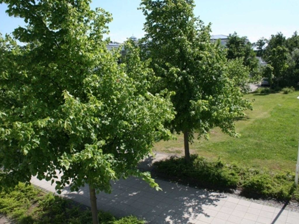 Seepark Sellin Haus Having WE 322