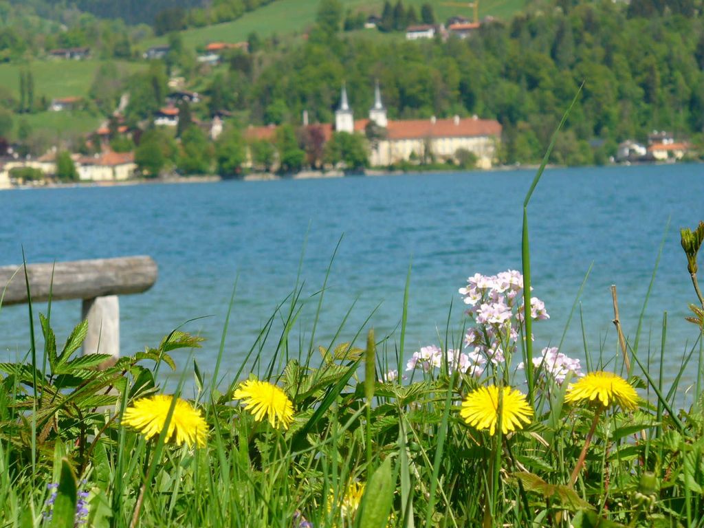Privater Badestrand