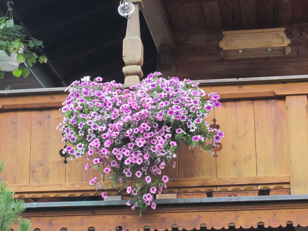 Gästehaus Schiffmann