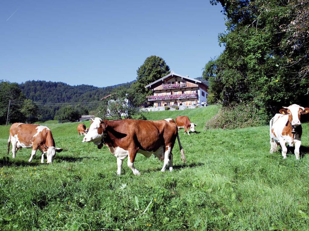 Unser Hof
