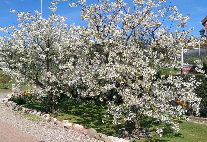 Feldblick, Fewo 25 m²